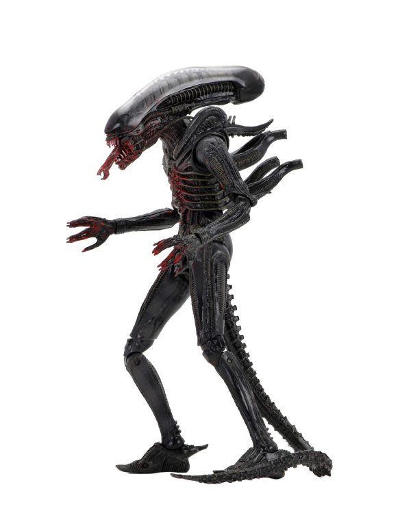 Aliens - 40th Anniversary Bloody Xenomorph 7" Scale Action Figure by NECA