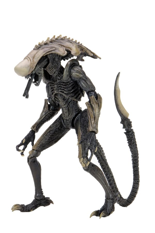 Aliens - Alien Vs Predator Game Chrysalis 9" Scale Action Figure by NECA
