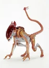 Aliens - Panther Alien 7" Scale Action Figure by NECA