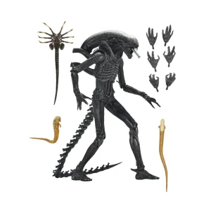 Aliens - Romulus Xenomorph XX121 Ultimate 7" Scale Action Figure by NECA at themoviemerch.com