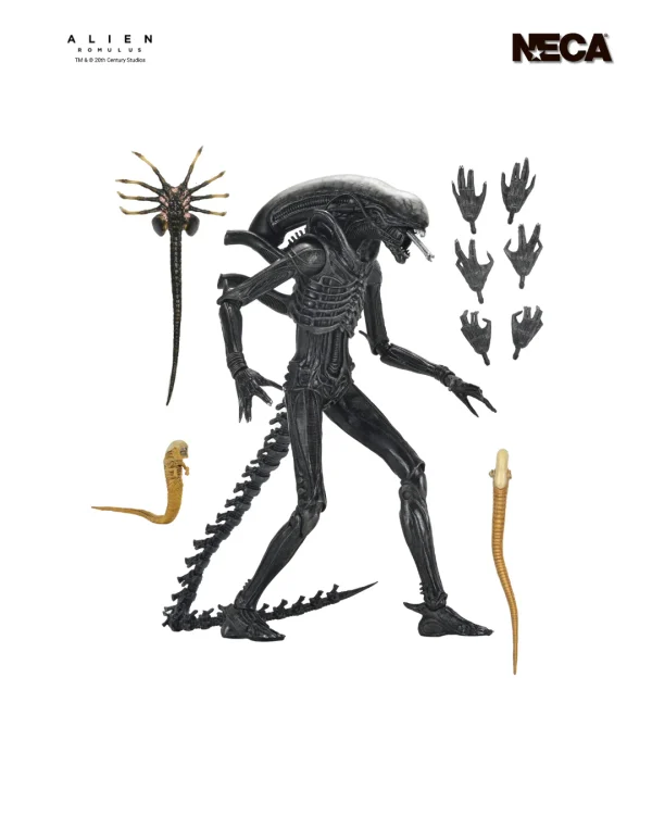 Aliens - Romulus Xenomorph XX121 Ultimate 7" Scale Action Figure by NECA at themoviemerch.com
