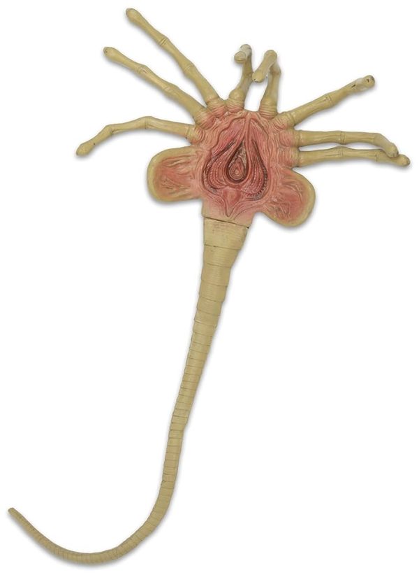 Alien Life-Size Facehugger Foam Prop Replica at themoviemerch.com