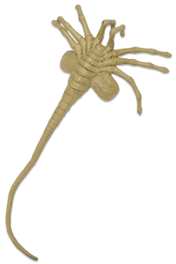 Alien Life-Size Facehugger Foam Prop Replica at themoviemerch.com