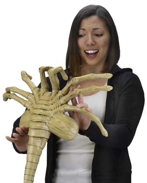 Alien Life-Size Facehugger Foam Prop Replica at themoviemerch.com