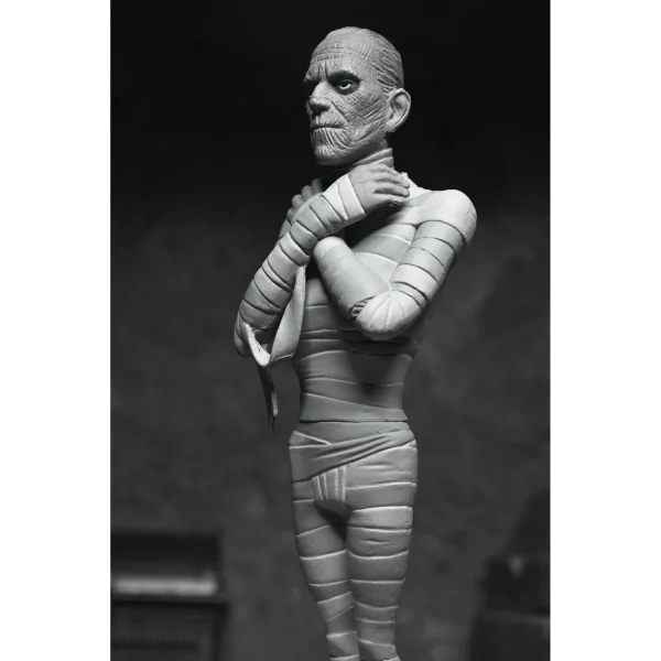 Universal Monsters – The Mummy B&W Toony Terrors Figure by NECA at themoviemerch.com